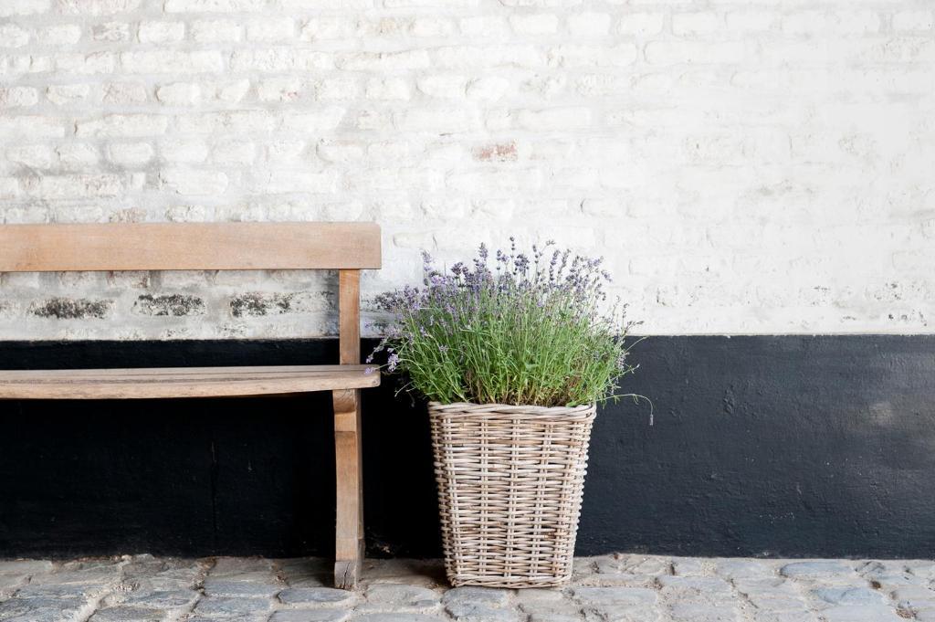 Cour 8 Lofts Guest House Maastricht Ruang foto