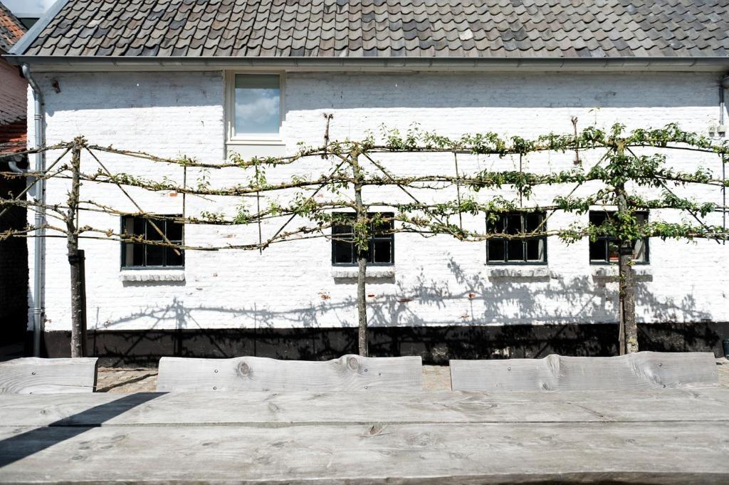 Cour 8 Lofts Guest House Maastricht Ruang foto